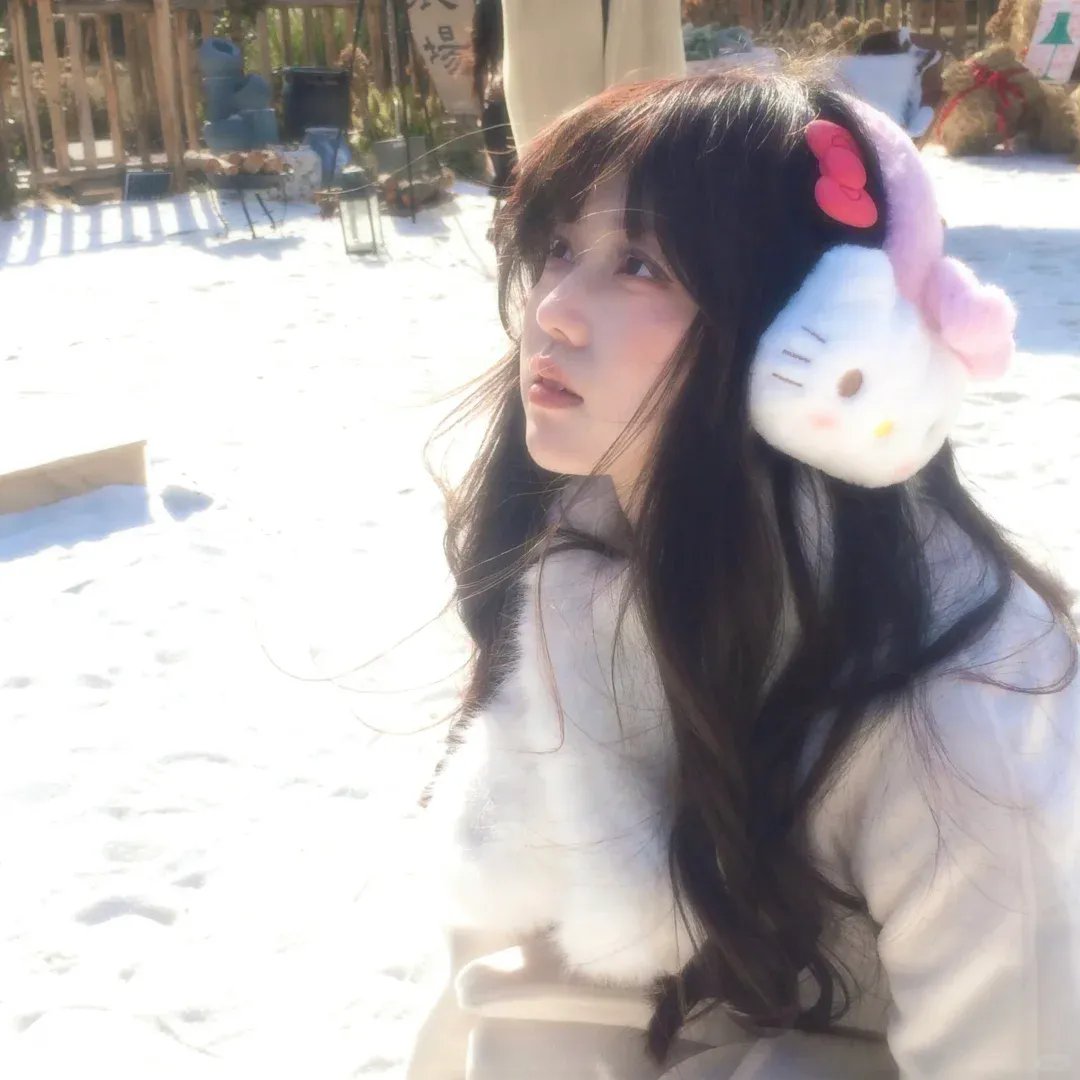 高分少女第二季海报